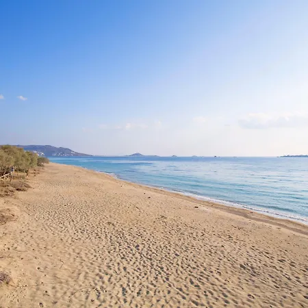 Villa Naxos Luxury Mikri Vigla