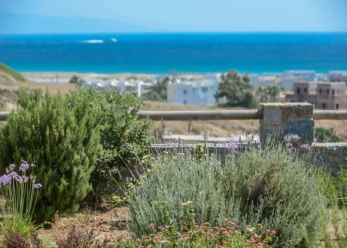 Naxos Luxury ミクリ・ヴィグラ